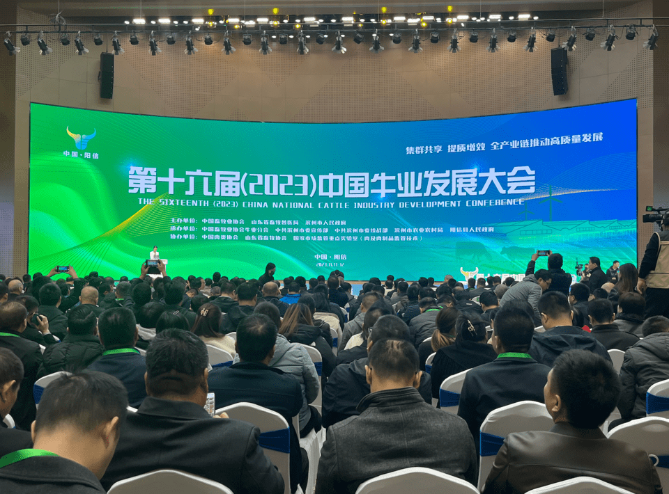 十六届发展大会.png