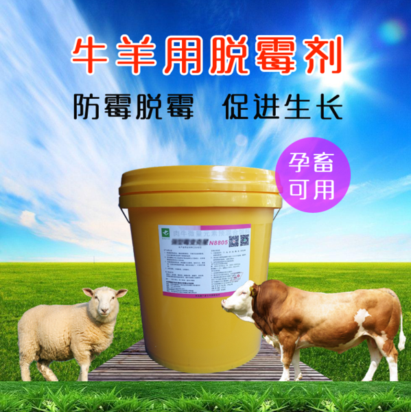 产品主图.png